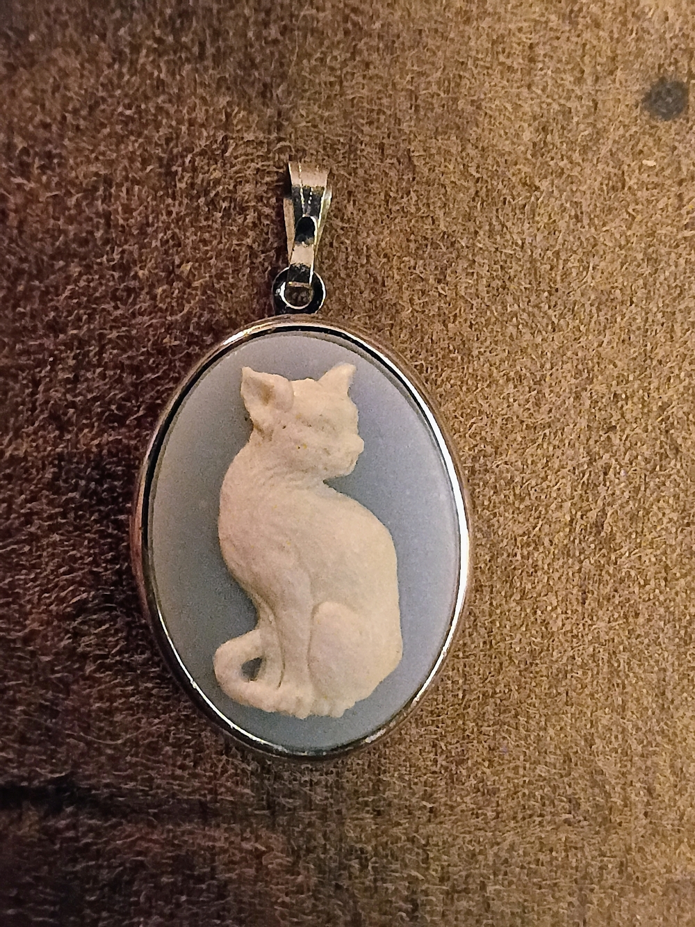 Classic Cat Cameo Locket Pendant Necklace in Light Blue and White